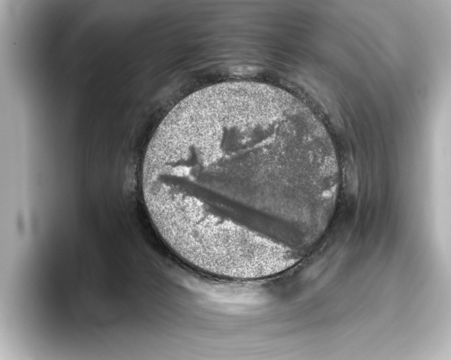 X0000095670032200802051240