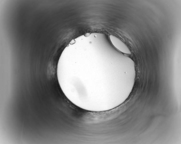 X0000095670033200802051240