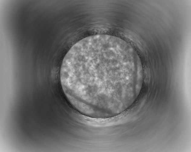 X0000095670034200802051240
