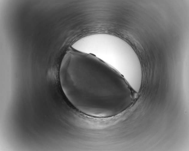 X0000095670035200802051240