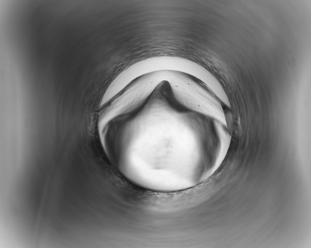 X0000095670037200802051239