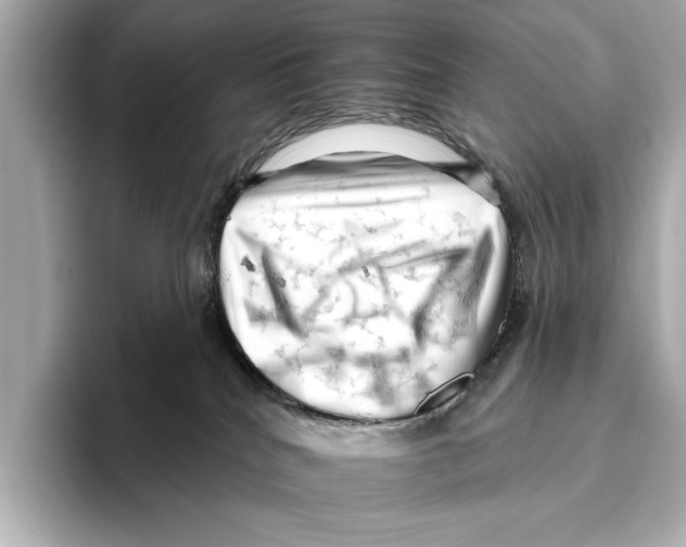 X0000095670040200802051239