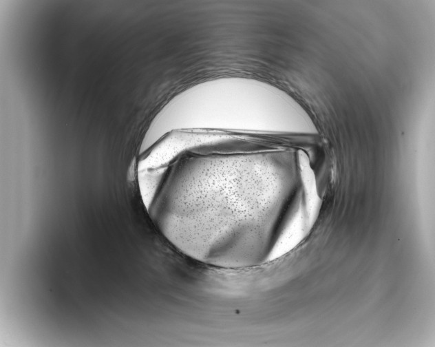 X0000095670041200802051239