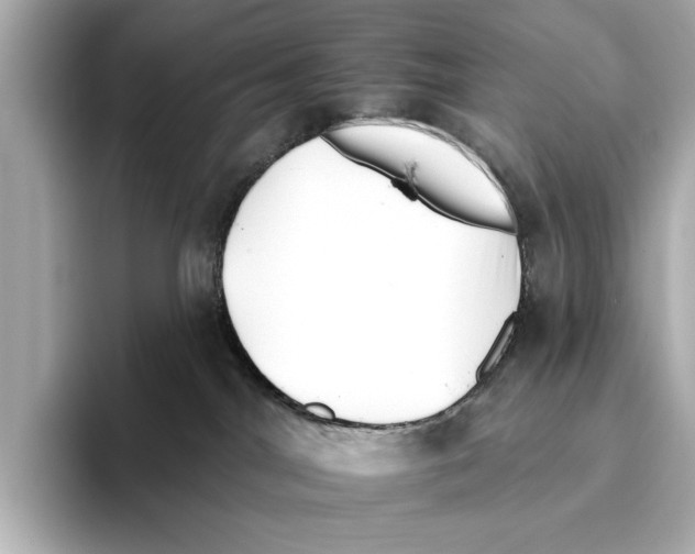 X0000095670044200802051239