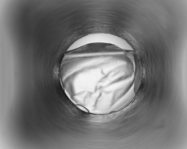 X0000095670045200802051239