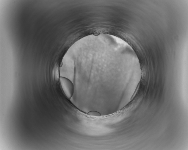 X0000095670046200802051239