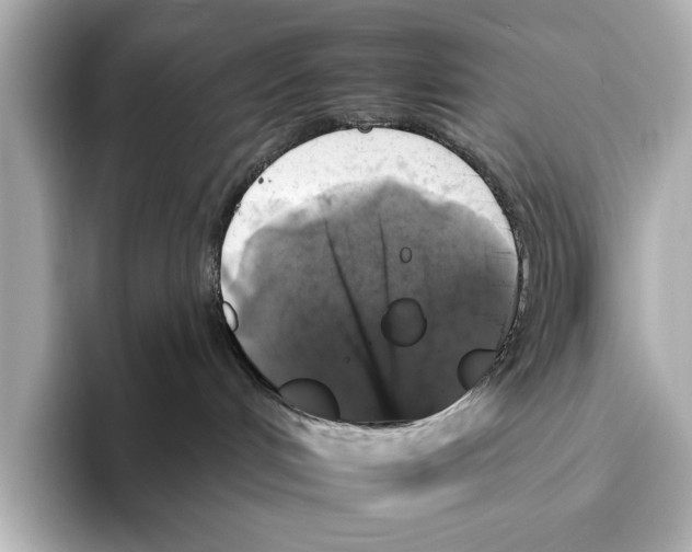 X0000095670048200802051239