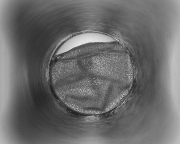 X0000095670050200802051239
