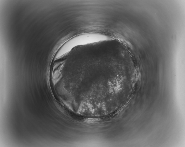 X0000095670051200802051239