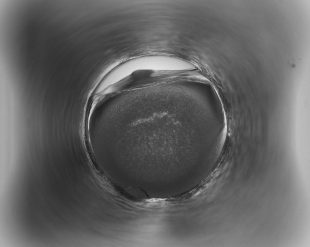 X0000095670052200802051239