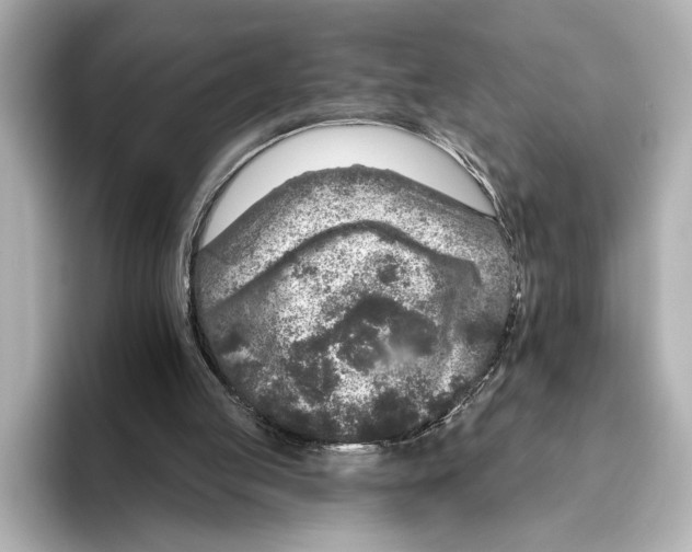 X0000095670053200802051239