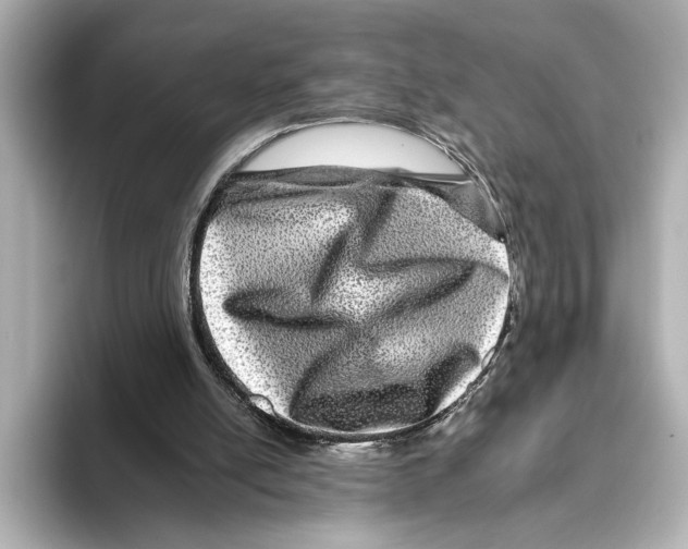 X0000095670054200802051239