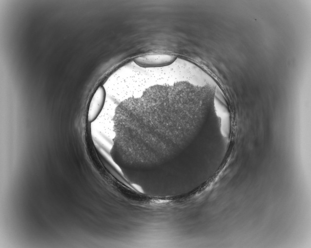 X0000095670055200802051239
