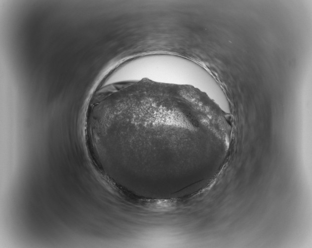 X0000095670056200802051239