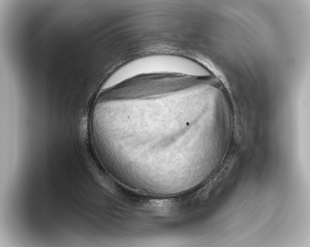 X0000095670057200802051239