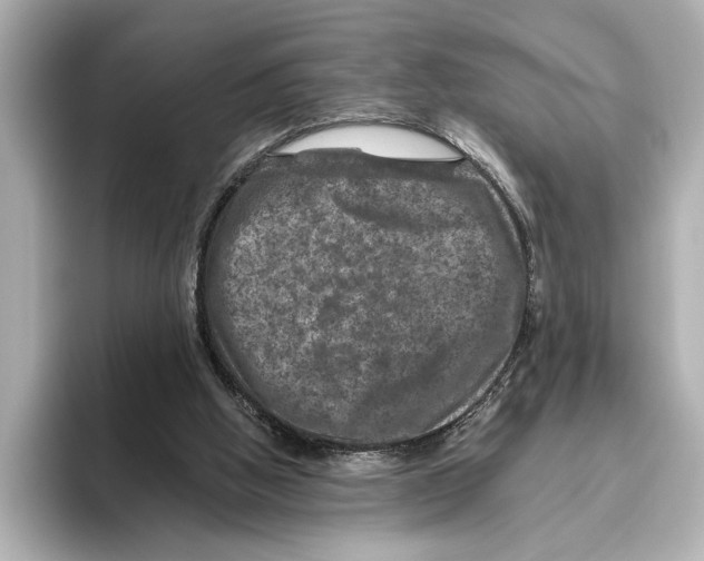 X0000095670058200802051239