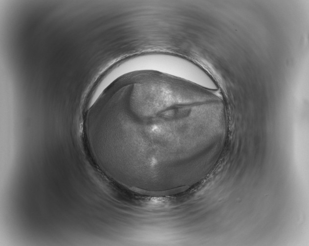 X0000095670060200802051239