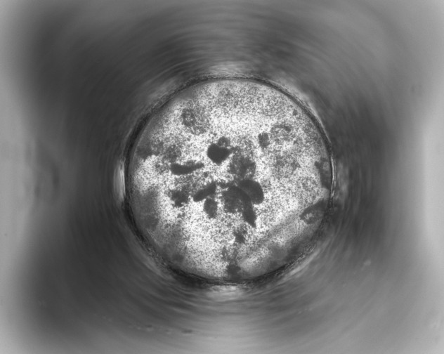 X0000095670061200802051239