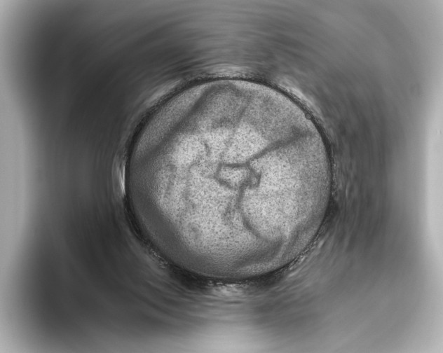 X0000095670062200802051239