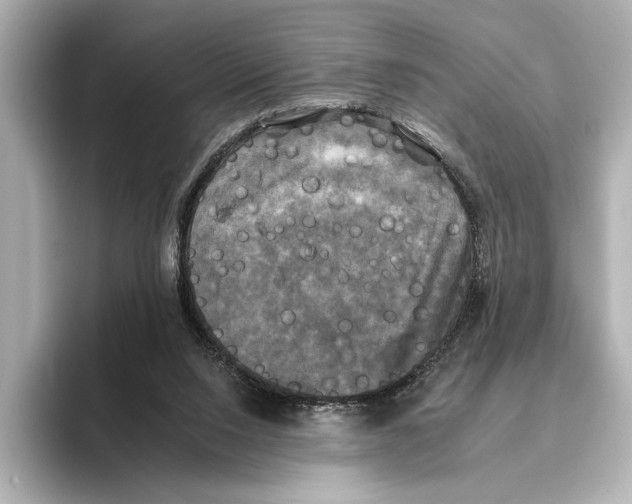 X0000095670064200802051239