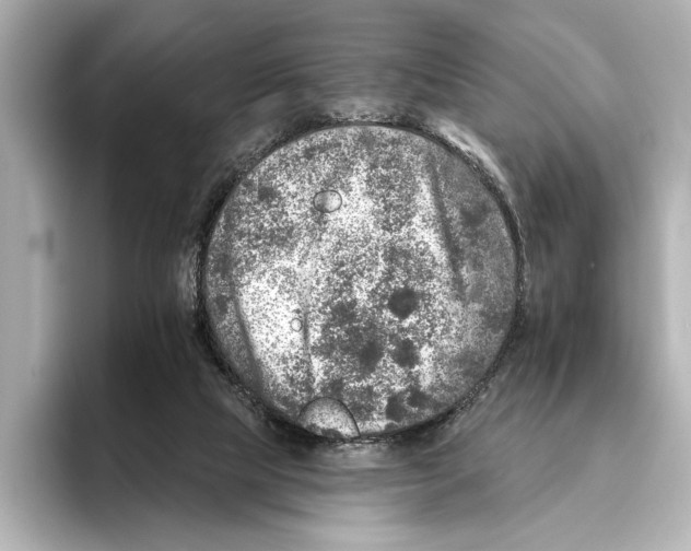 X0000095670065200802051239
