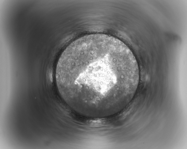 X0000095670068200802051239