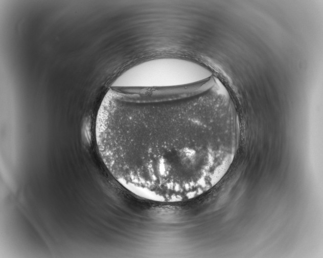 X0000095670069200802051239