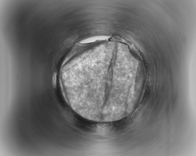 X0000095670070200802051239