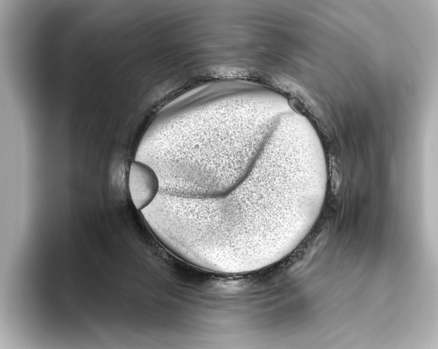X0000095670071200802051239