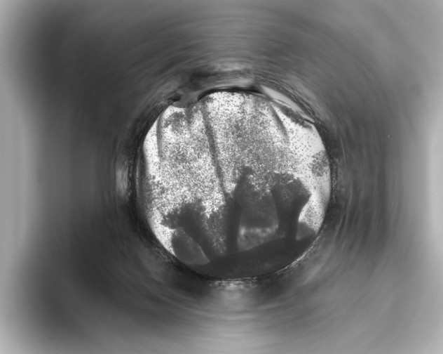 X0000095670074200802051239