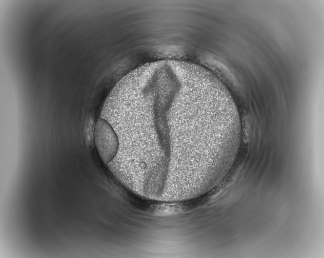 X0000095670077200802051239