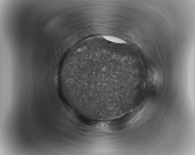 X0000095670080200802051239