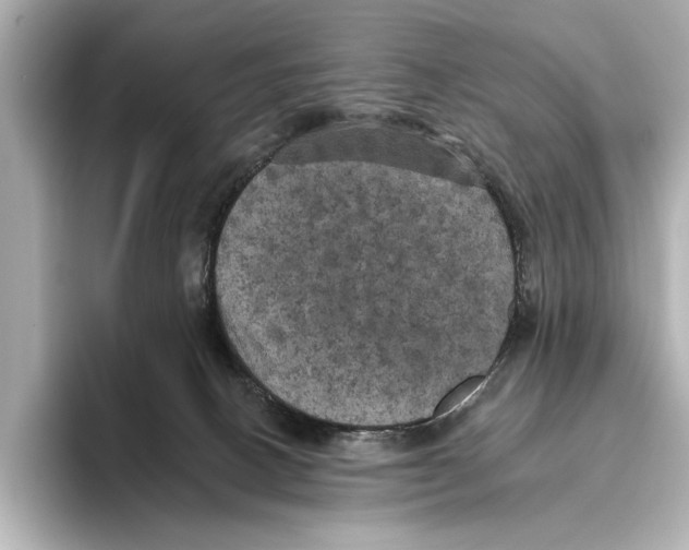 X0000095670082200802051239