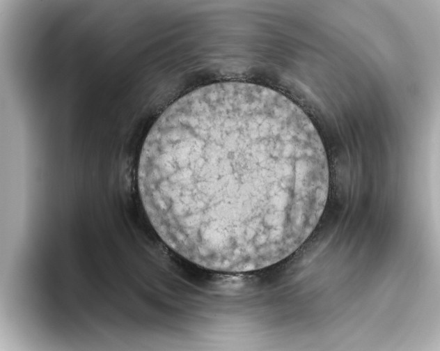 X0000095670083200802051239