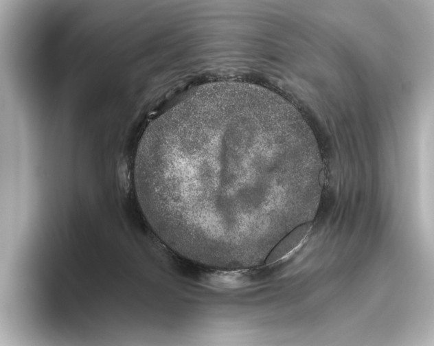 X0000095670086200802051239