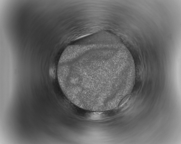 X0000095670090200802051239