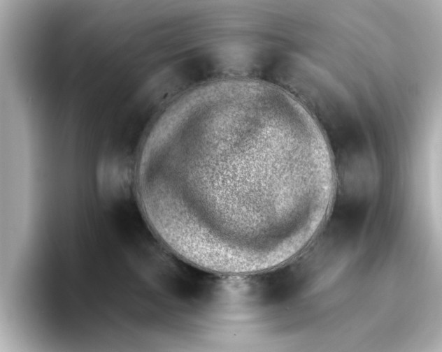 X0000095670091200802051239