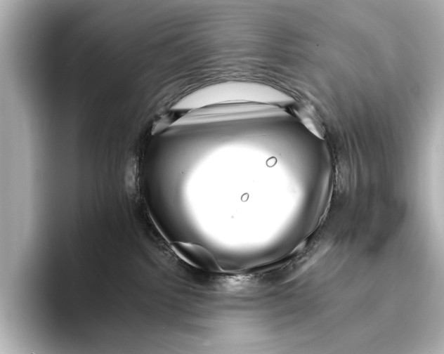 X0000095670092200802051239