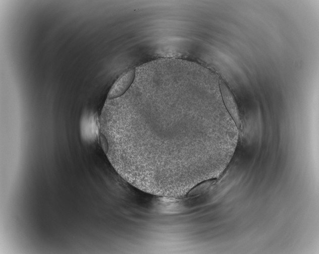 X0000095670095200802051239