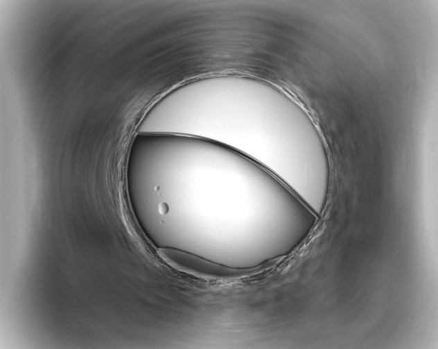 X0000095670097200802051239