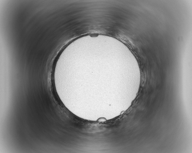 X0000095670098200802051239