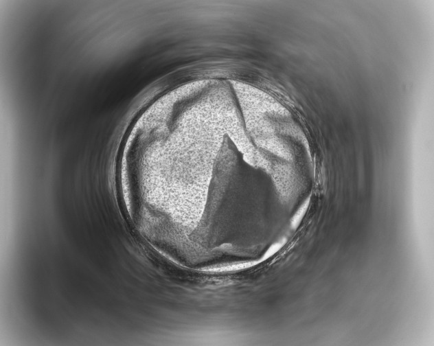 X0000095670099200802051239