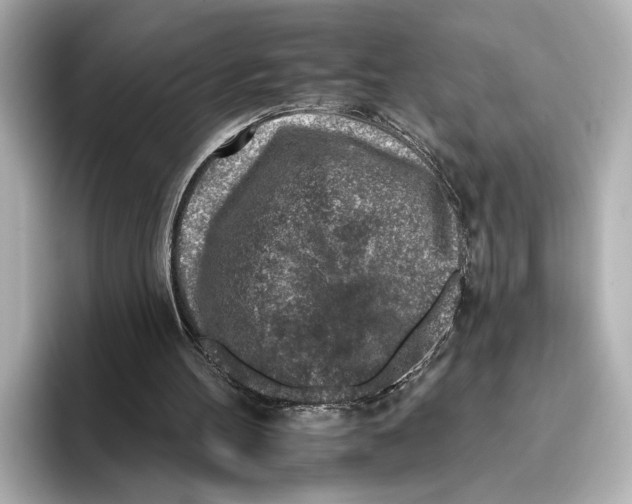 X0000095670100200802051238