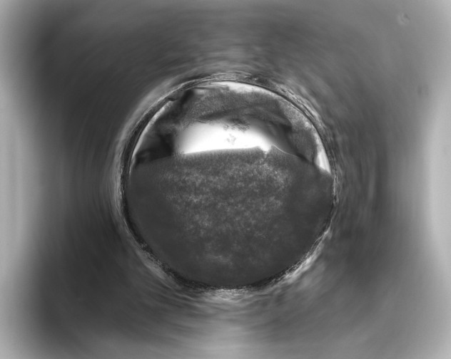 X0000095670101200802051238