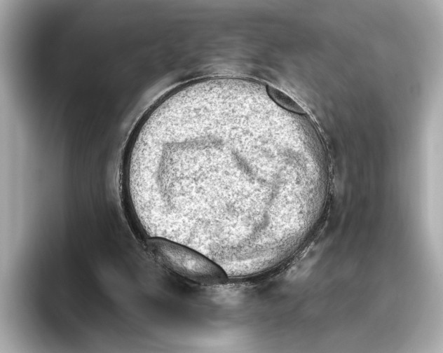 X0000095670103200802051238