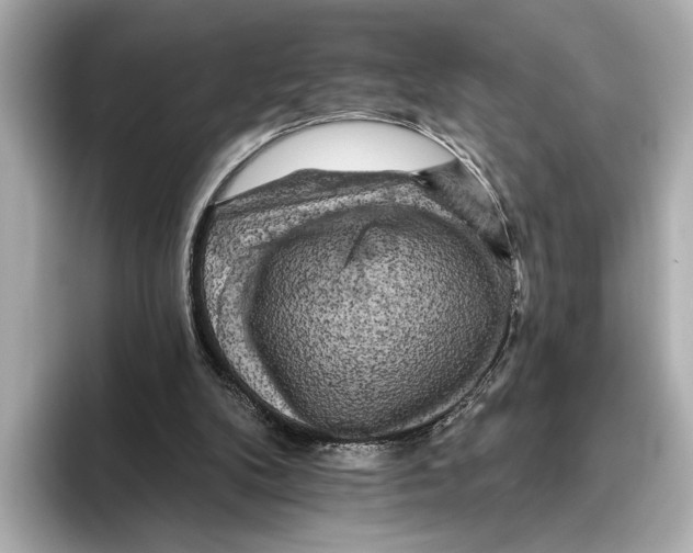 X0000095670104200802051238