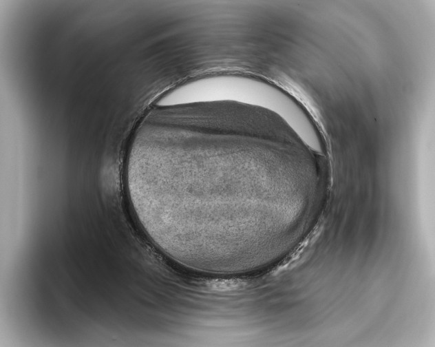 X0000095670105200802051238