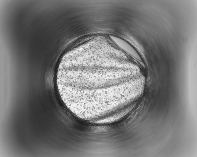 X0000095670107200802051238