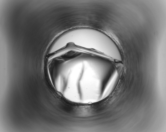 X0000095670108200802051238