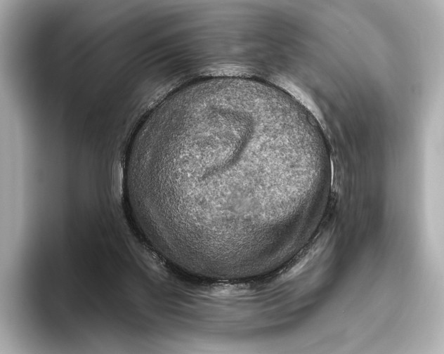 X0000095670109200802051238